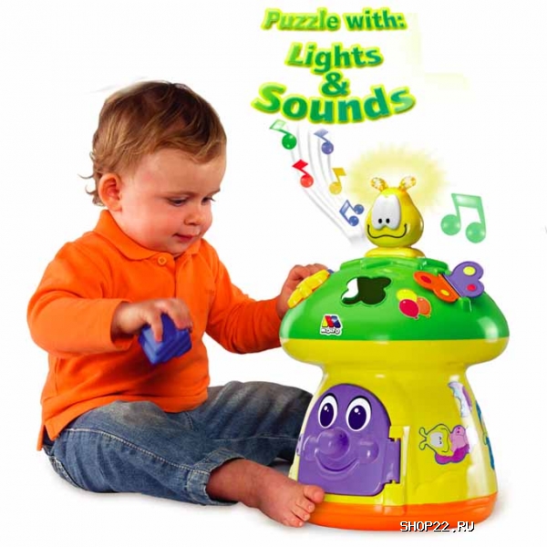 ������ ������� ����� - ���� 