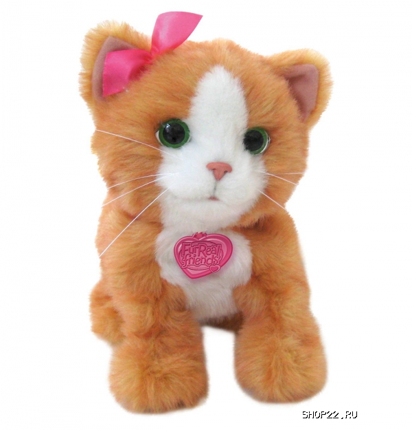 ������������� ������� 