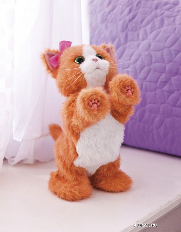 ������ �����, ������� ������� � �������� - ����