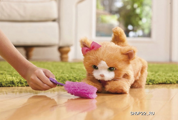 ������ �����, ������� ������� � �������� - ����