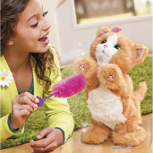 ������ �����, ������� ������� � �������� - ����