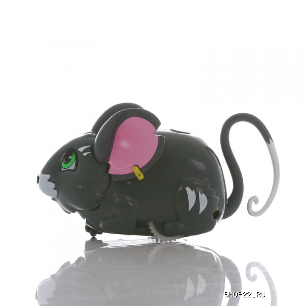 ������ Amazing Zhus �����-������ ������� 26004 � �������� - ����