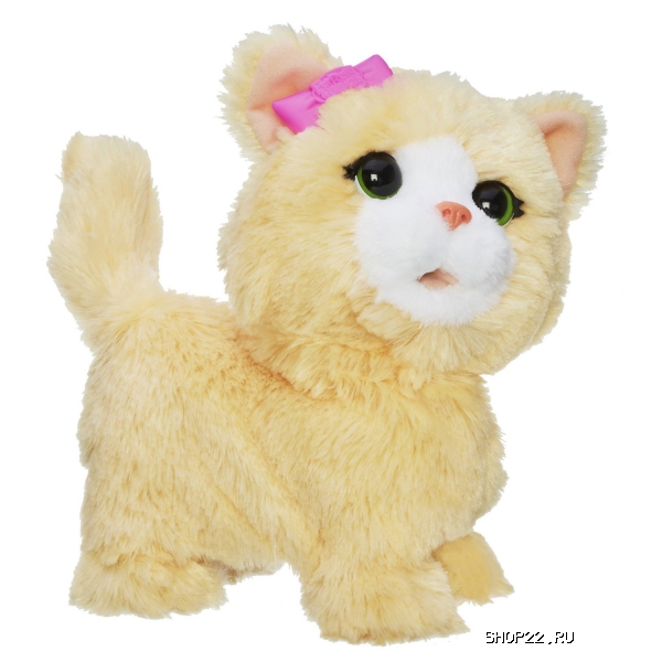 ������������� ������� 