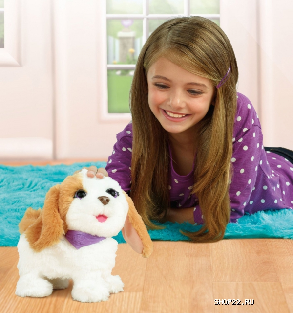 ������ FurRealFrends. ������� ������� A5717H � �������� - ����