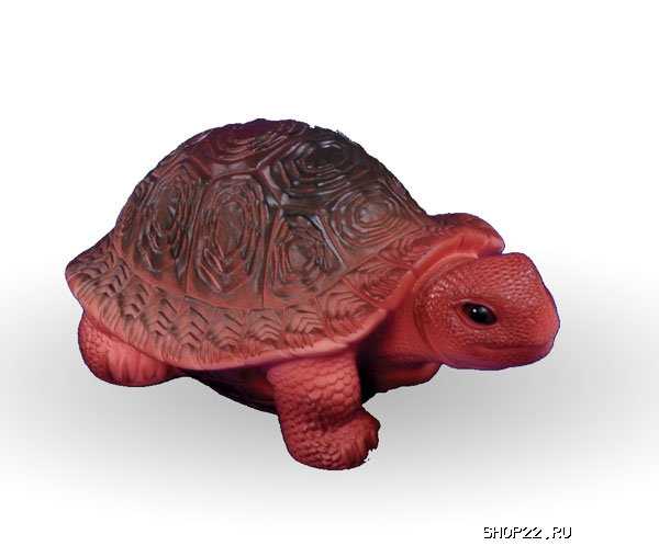 ������� ��� 