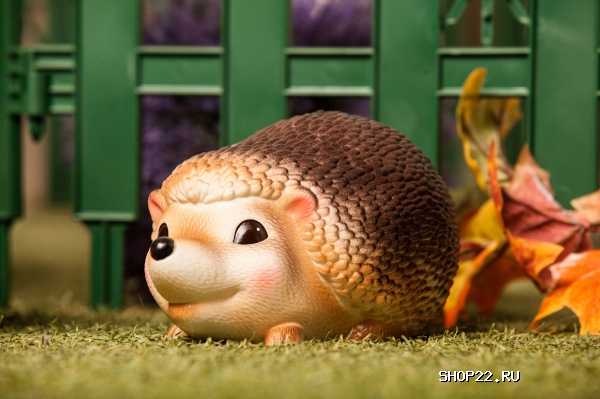 ������ ��� ���� ���� �-829 (������) � �������� - ����