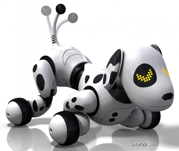 ������������� ������� Zoomer 