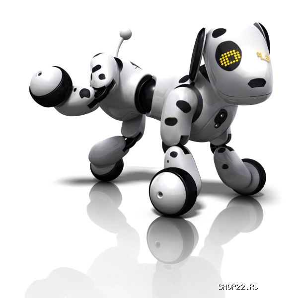 ������ Zoomer ����� ����������,64 ������� 20068497 � �������� - ����