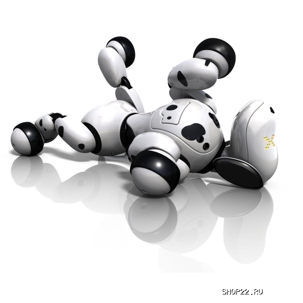 ������ Zoomer ����� ����������,64 ������� 20068497 � �������� - ����