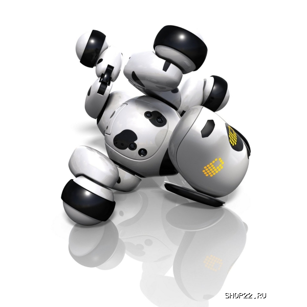 ������ Zoomer ����� ����������,64 ������� 20068497 � �������� - ����