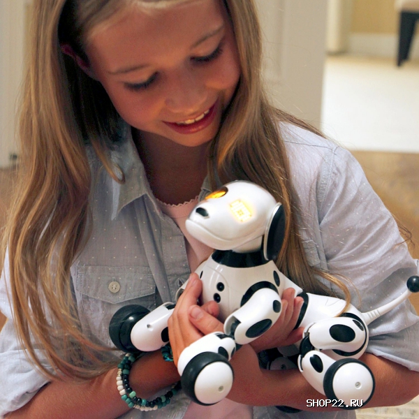 ������ Zoomer ����� ����������,64 ������� 20068497 � �������� - ����