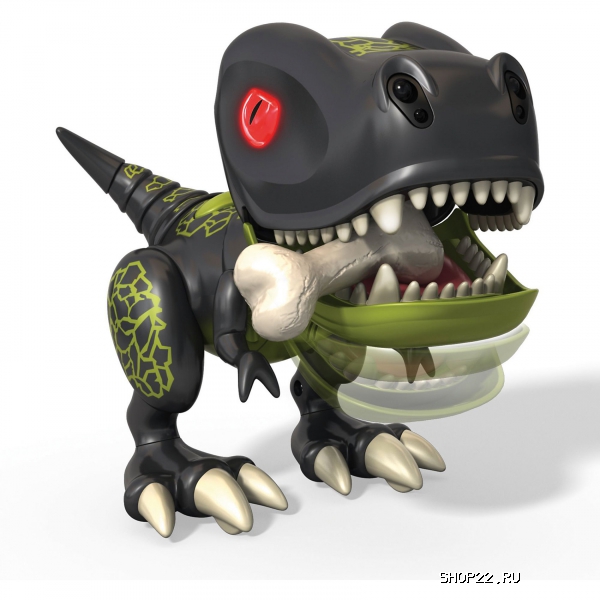 ������������� ������� Zoomer 