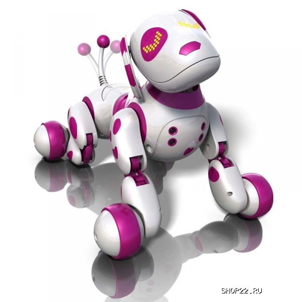 ������������� ������� Zoomer 