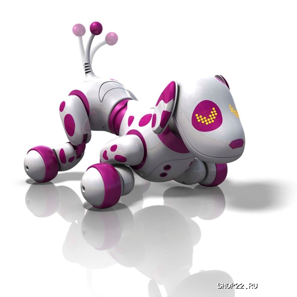 ������ Zoomer ����,64 �������� 20068495 � �������� - ����