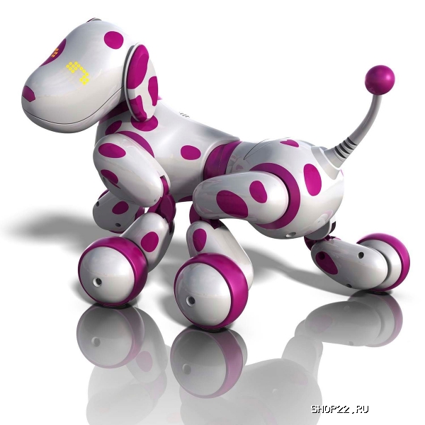 ������ Zoomer ����,64 �������� 20068495 � �������� - ����