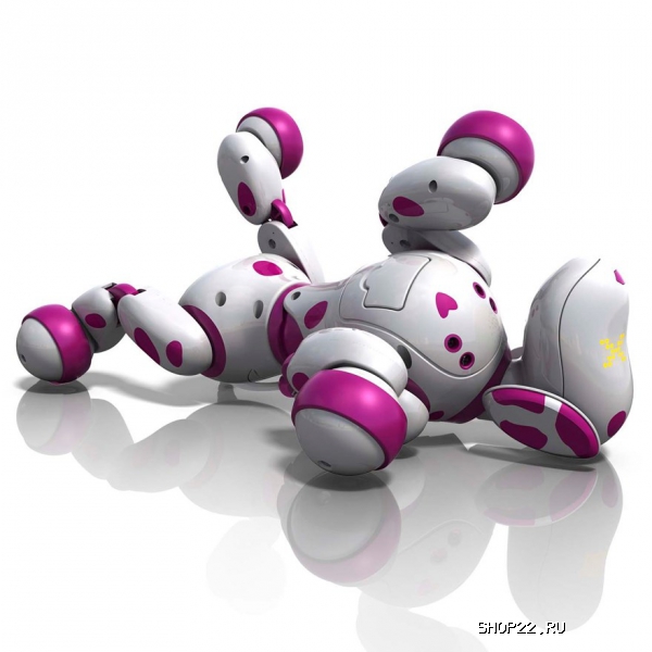 ������ Zoomer ����,64 �������� 20068495 � �������� - ����