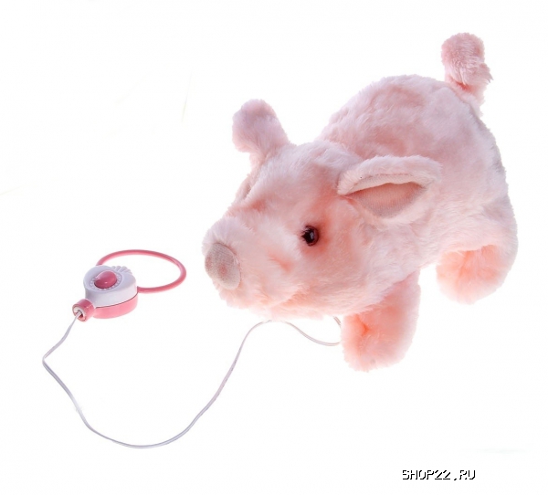 ������������� ������ ������ 