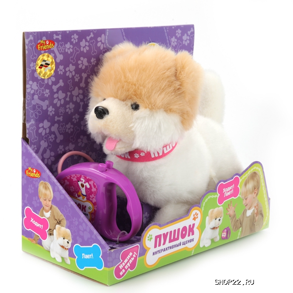 ������ ������������� ����������� ���� 