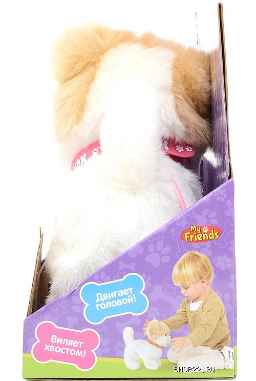 ������ ������������� ����������� ���� 