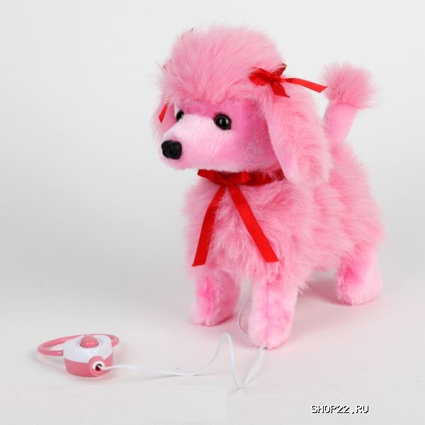 ������������� ������ ����� 