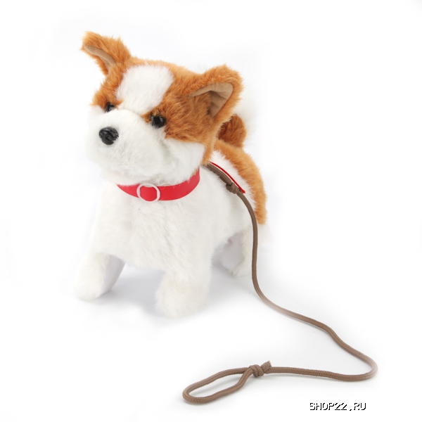 ������������� ����� ����� 