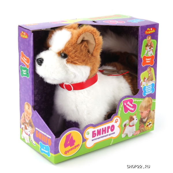 ������ ������������� ����� 