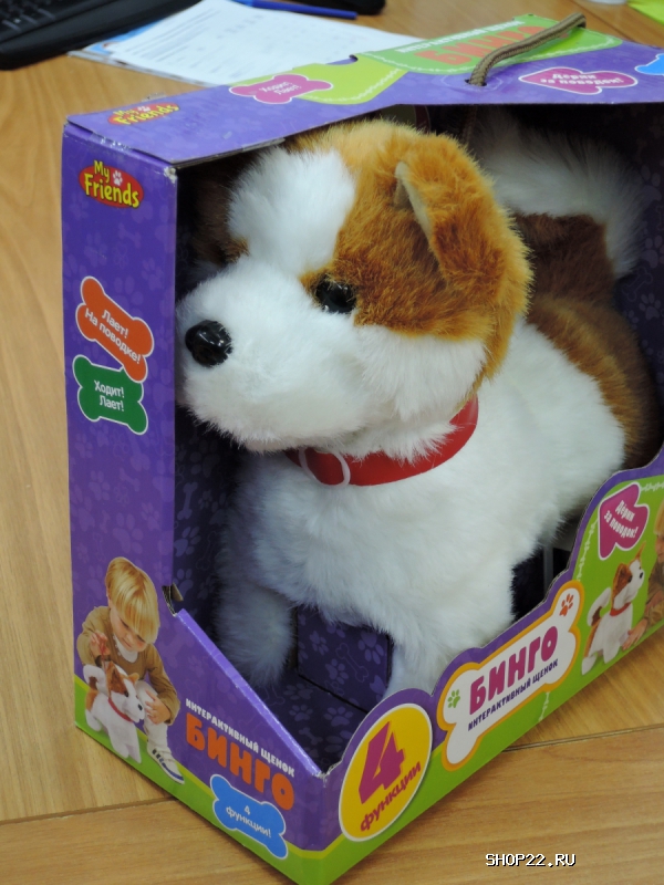 ������ ������������� ����� 