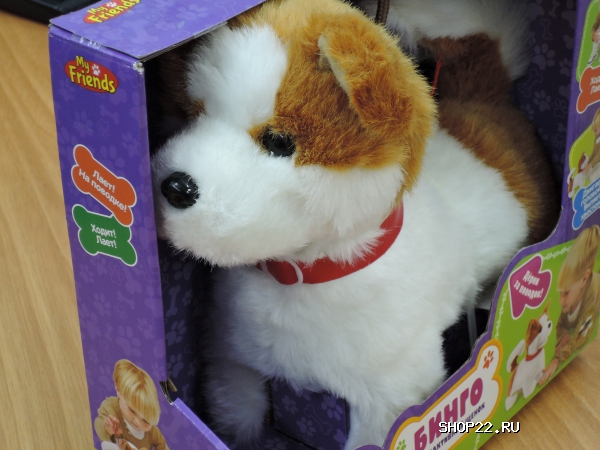 ������ ������������� ����� 