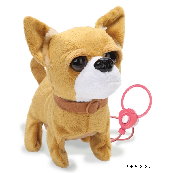 ������������� ����� ������ 