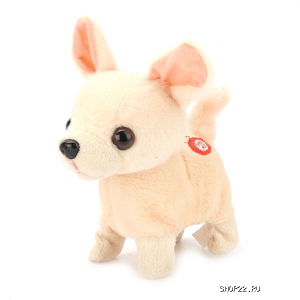 ������������� ����� ����� 