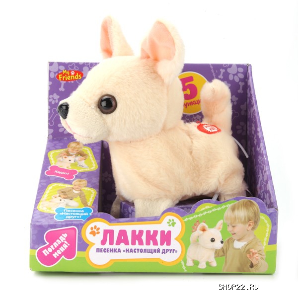 ������ ������������� �����  