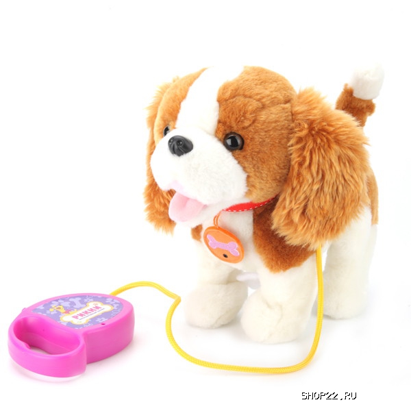 ������������� ����� ����� 