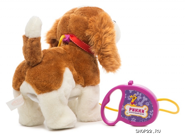 ������ ������������� ����� 