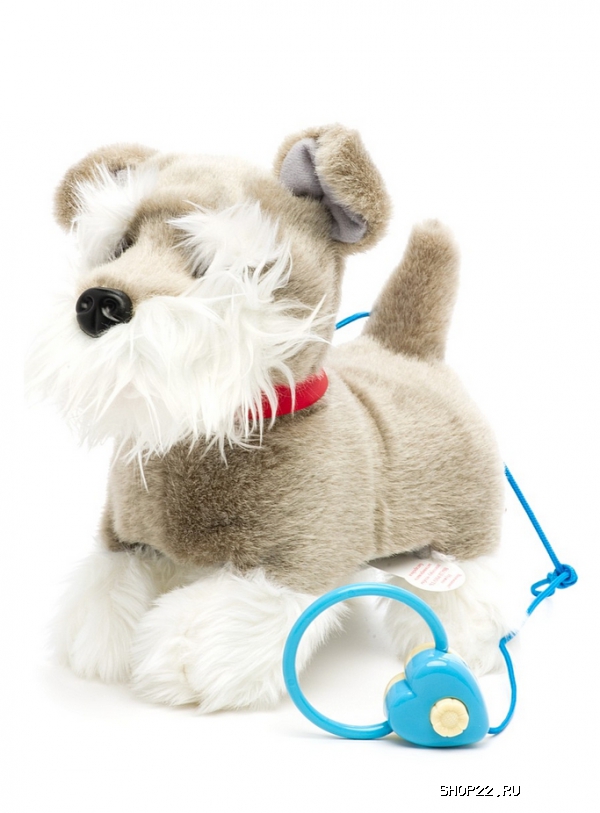 ������������� ����� ����� 