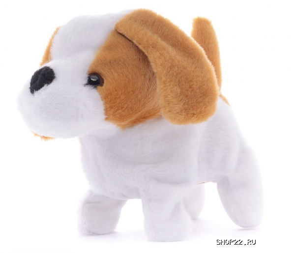 ������������� ����� ���� 