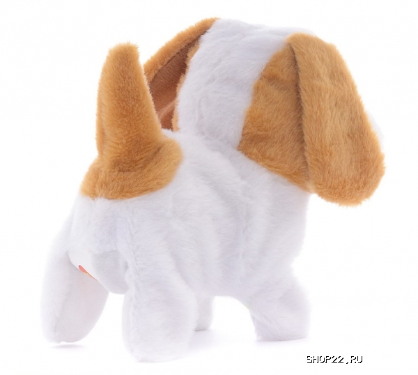 ������ ������������� ����� 