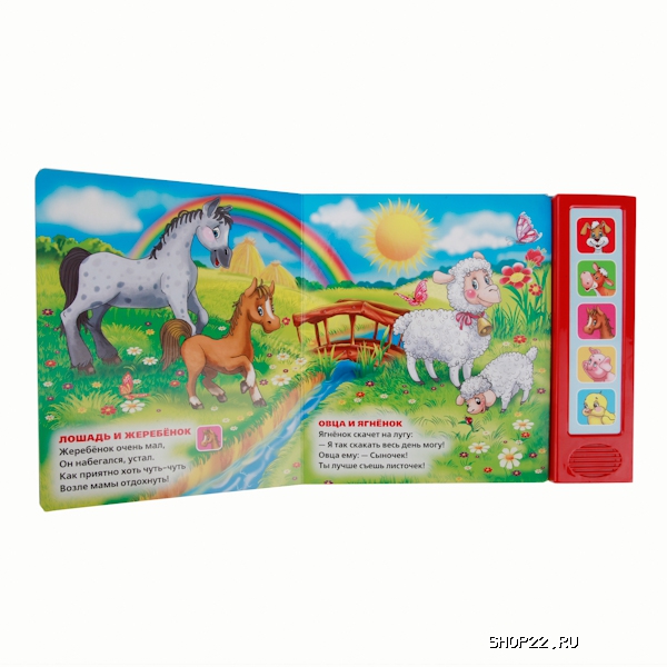 ������ ����� ���� � ������ ���� (9785506006503) � �������� - ����