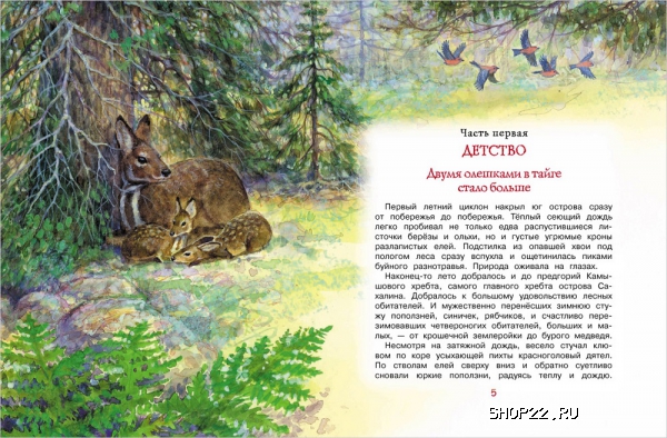 ������ �. �����. �������� ��� 26919 � �������� - ����