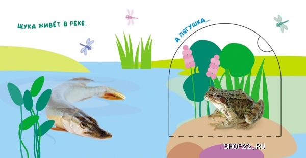 ������ ������ ��� ��� �����? (������ � �������� ��� ���������) 978-5-353-07198-3 � ���.40��. � �������� - ����