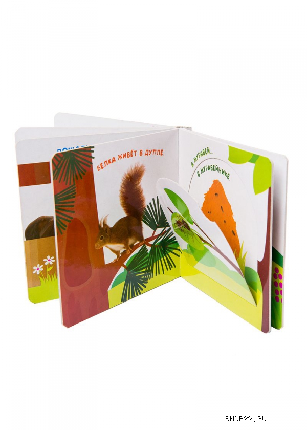 ������ ������ ��� ����� � ����? (������ � �������� ��� ��������  978-5-353-07270-6 � ���.40��. � �������� - ����