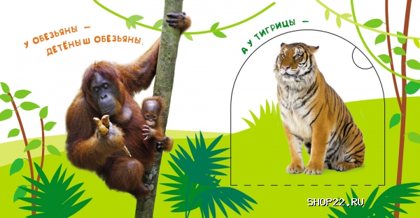 ������ ������ ���� � ������ (������ � �������� ��� ���������) 978-5-353-07180-8 � ���.40��. � �������� - ����