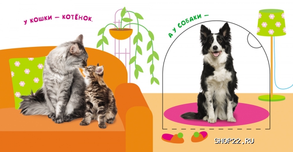 ������ ������ ���� � ������ (������ � �������� ��� ���������) 978-5-353-07180-8 � ���.40��. � �������� - ����