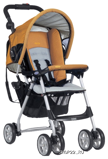 ������ ������� Citysport � �������� - ����