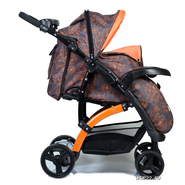 ������ ������� ����������� FLORA � �������� - ����