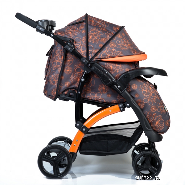 ������ ������� ����������� FLORA � �������� - ����