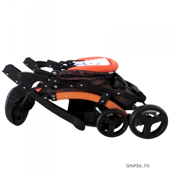 ������ ������� ����������� FLORA � �������� - ����