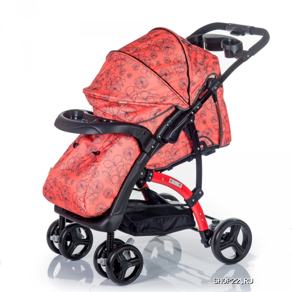 ������ ������� ����������� FLORA � �������� - ����