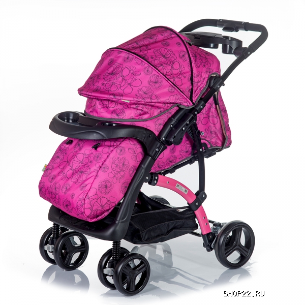 ������ ������� ����������� FLORA � �������� - ����