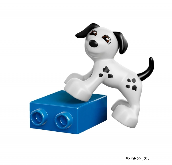 ������ ������� ����� ������ ������: ��� � �� 10570 � �������� - ����