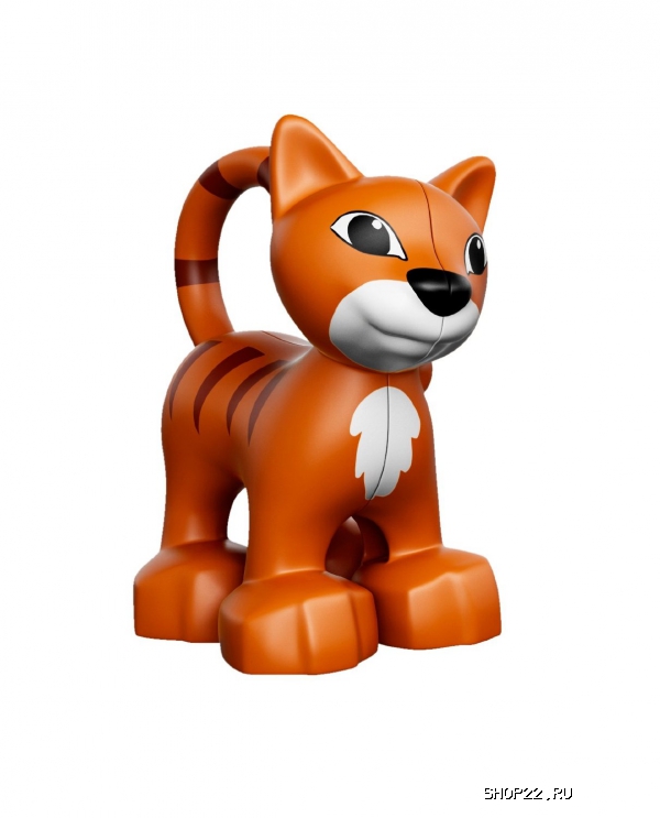 ������ ������� ����� ������ ������: ��� � �� 10570 � �������� - ����